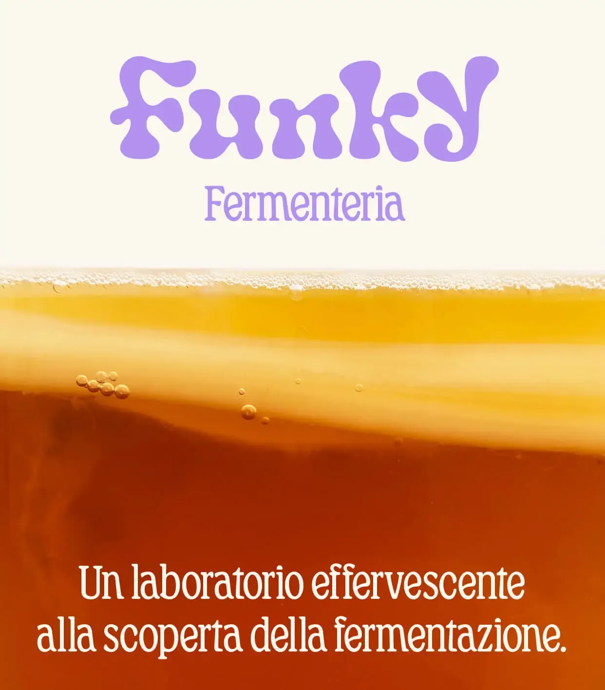 Banner about kombucha